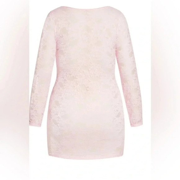 Sheer Lace Chemise, Soft Pink, Plus 14, Same size as model - Picture 4 of 5